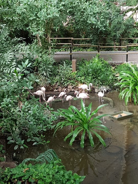 Sonstiges Tropical Islands Resort