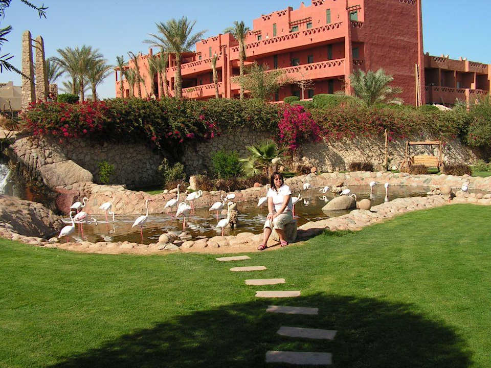 Park mit Flamingos Hotel Hauza Beach Resort