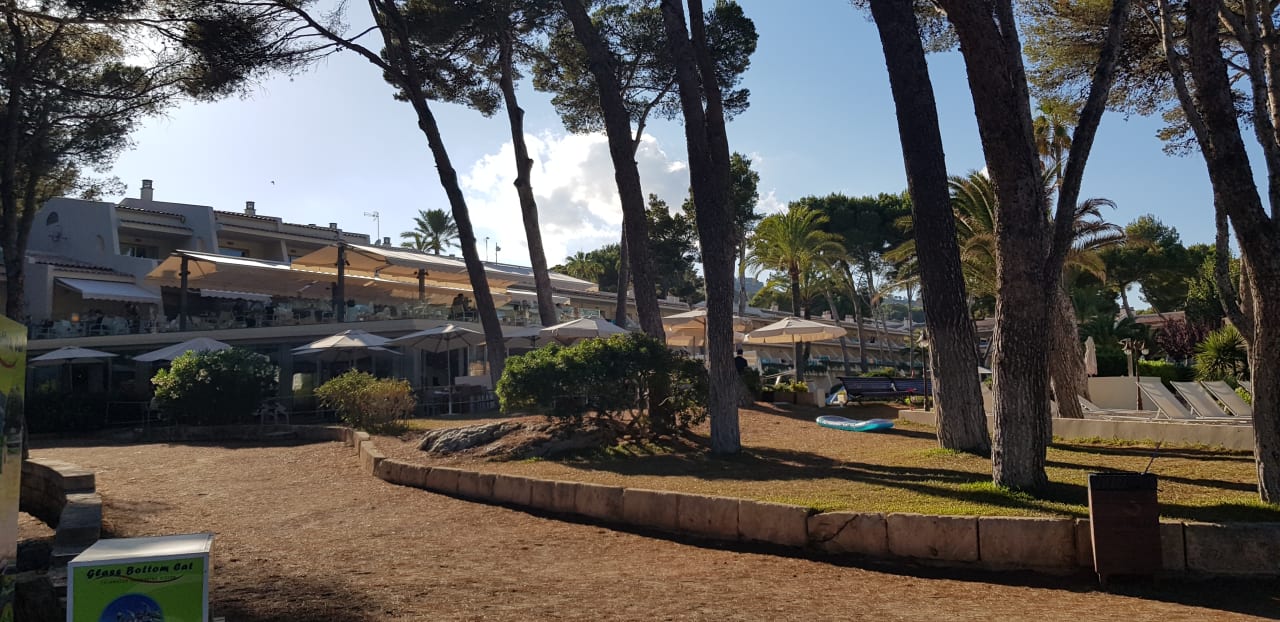 Gartenanlage Iberostar Waves Pinos Park