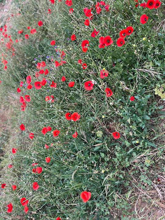 Sonstiges Eliros Mare