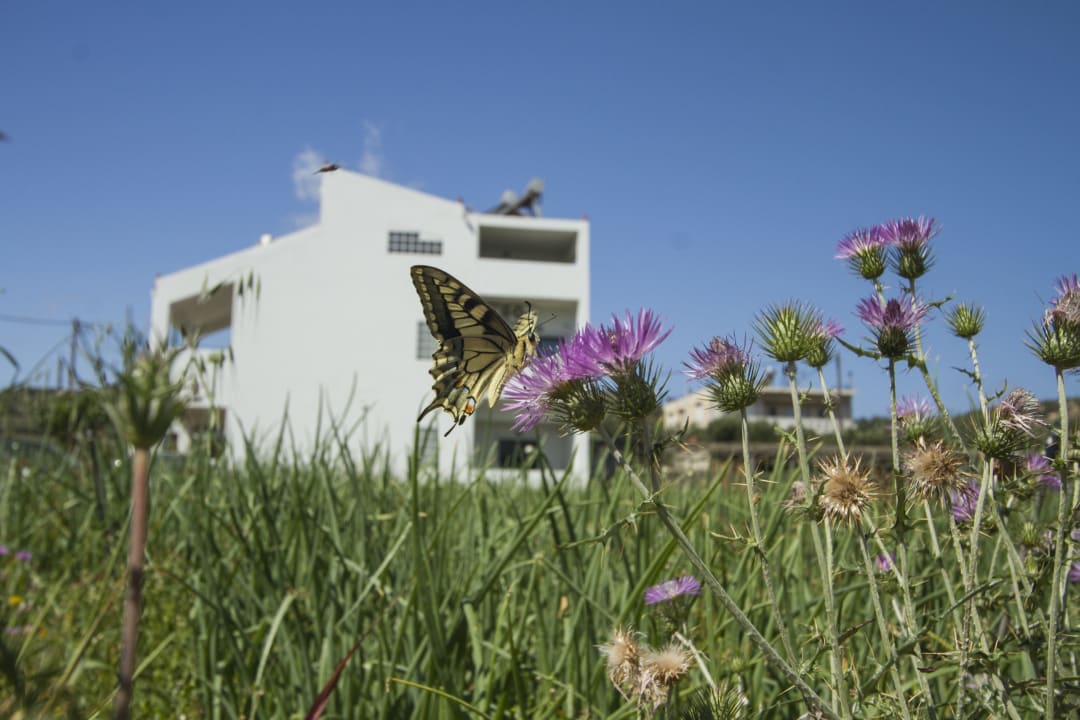 Sonstiges Olive Tree Apartments