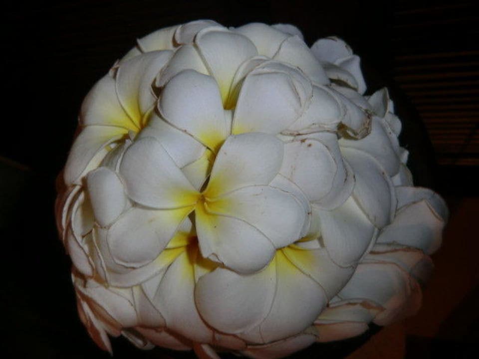 Frangipani Maya Ubud Resort & Spa Bali