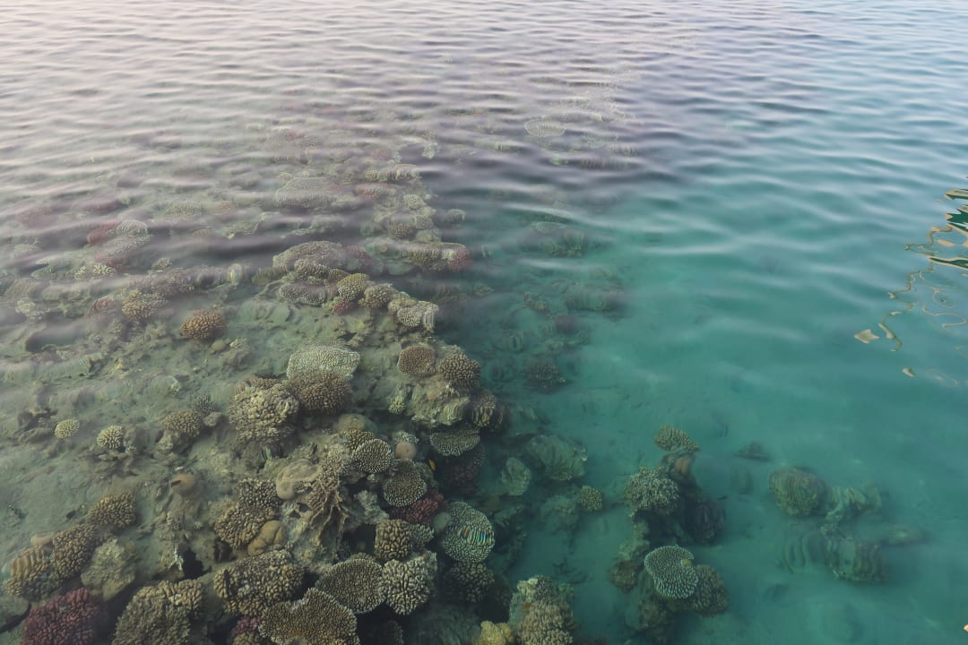 Strand Shams Alam Beach Resort