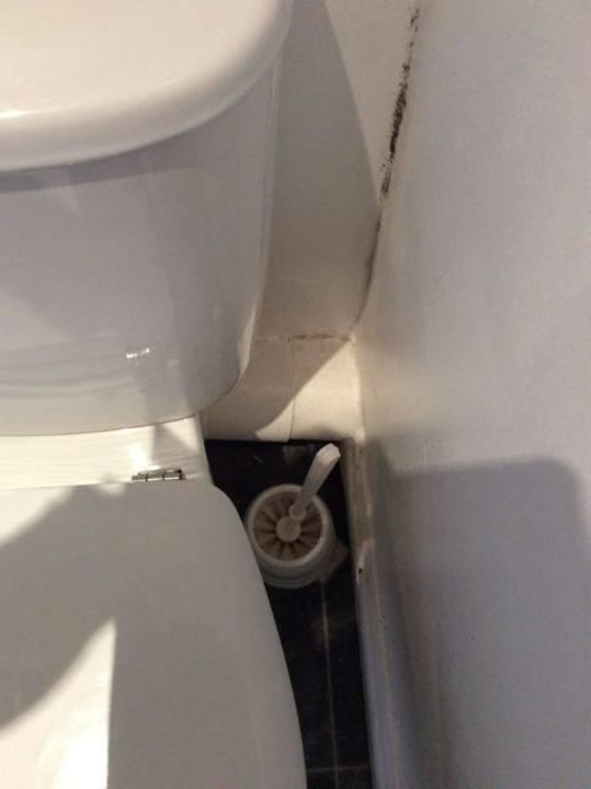 Toilette, Schimmel in Ecke Marston Lodge Hotel