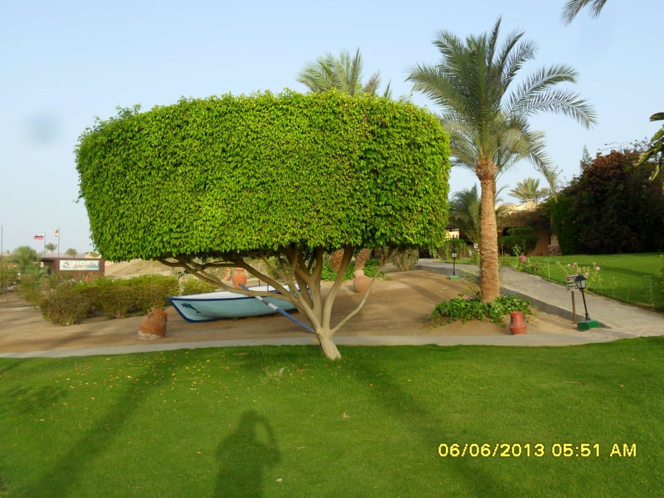 Gepflegte Gartenanlage Steigenberger Coraya Beach - Adults only