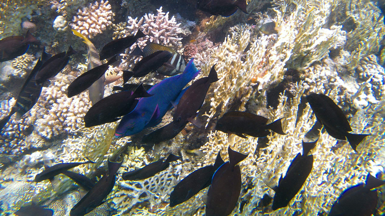 Sport & Freizeit Makadi Spa - Adults only