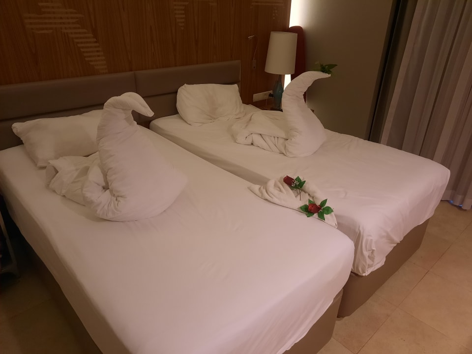 Zimmer PALOMA Perissia