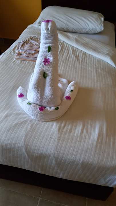 Zimmer Coral Sun Beach