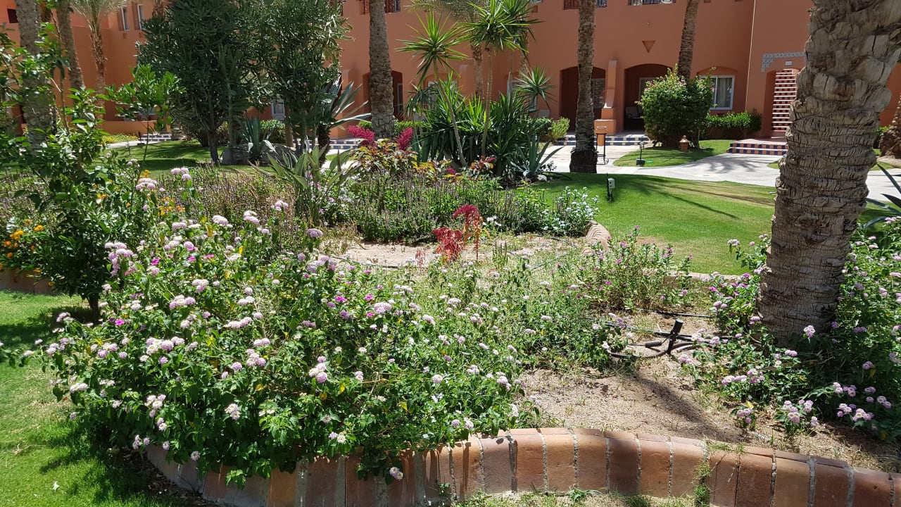 Gartenanlage Jaz Makadi Oasis Resort
