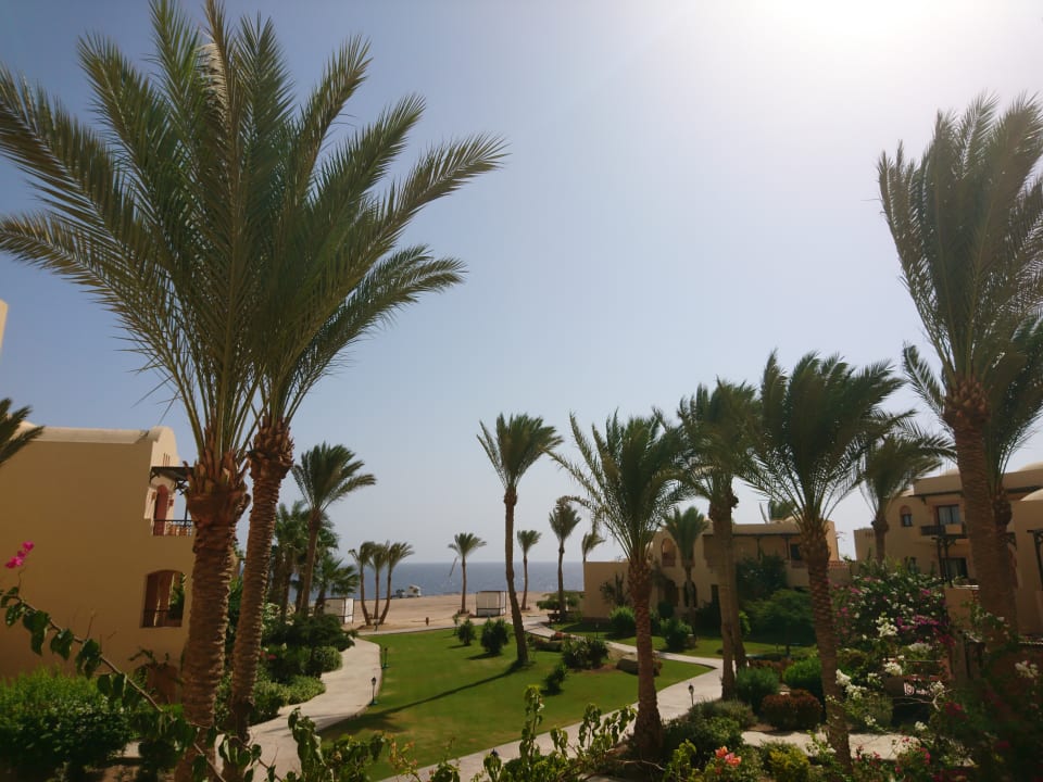 Ausblick Steigenberger Coraya Beach - Adults only