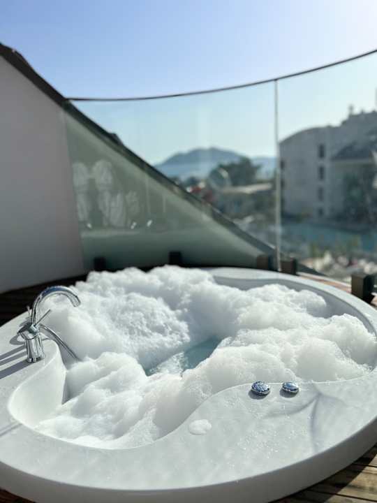 Zimmer Liberty Signa