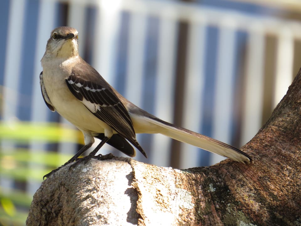 Gartenanlage Sol Rio De Luna y Mares
