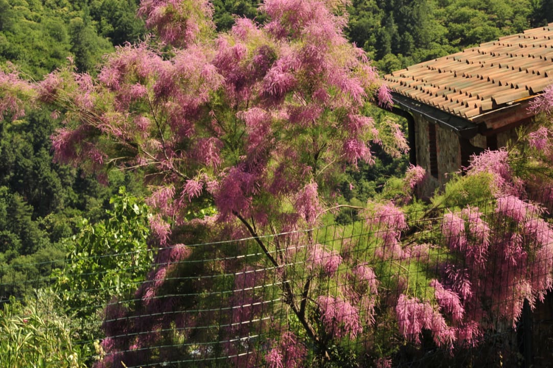 Gartenanlage Ventena Vecchia antico frantoio