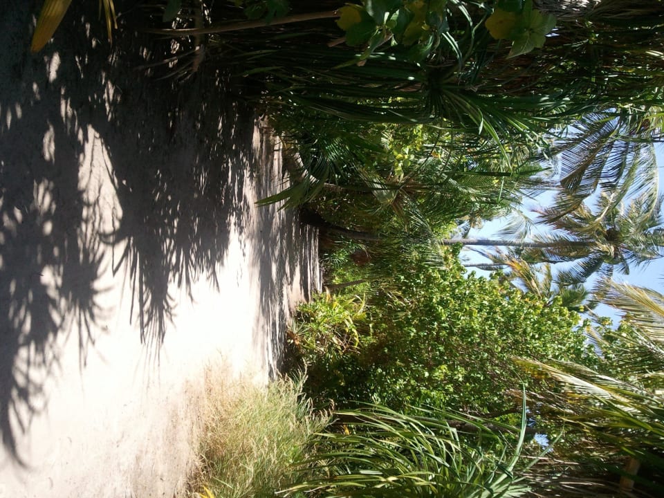 Fußweg durch das Paradise Kuramathi Maldives