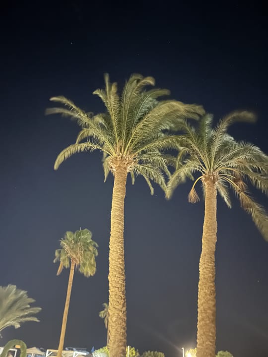 Ausblick Eagles Paradise Abu Soma