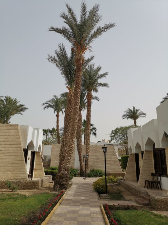 Gartenanlage Regina Resort and Aqua Park Hurghada