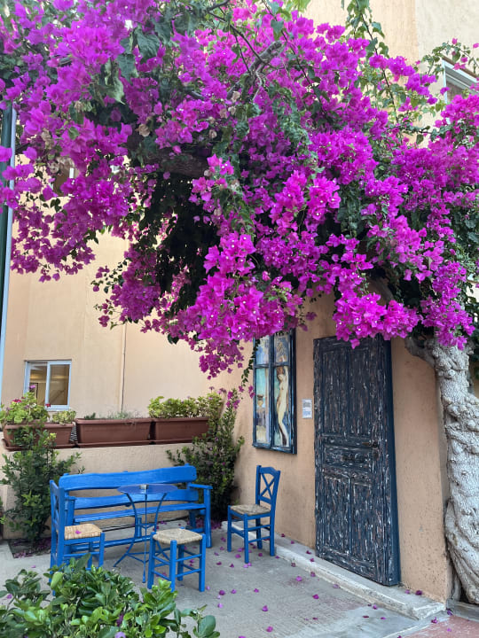 Sonstiges Anissa Beach & Village