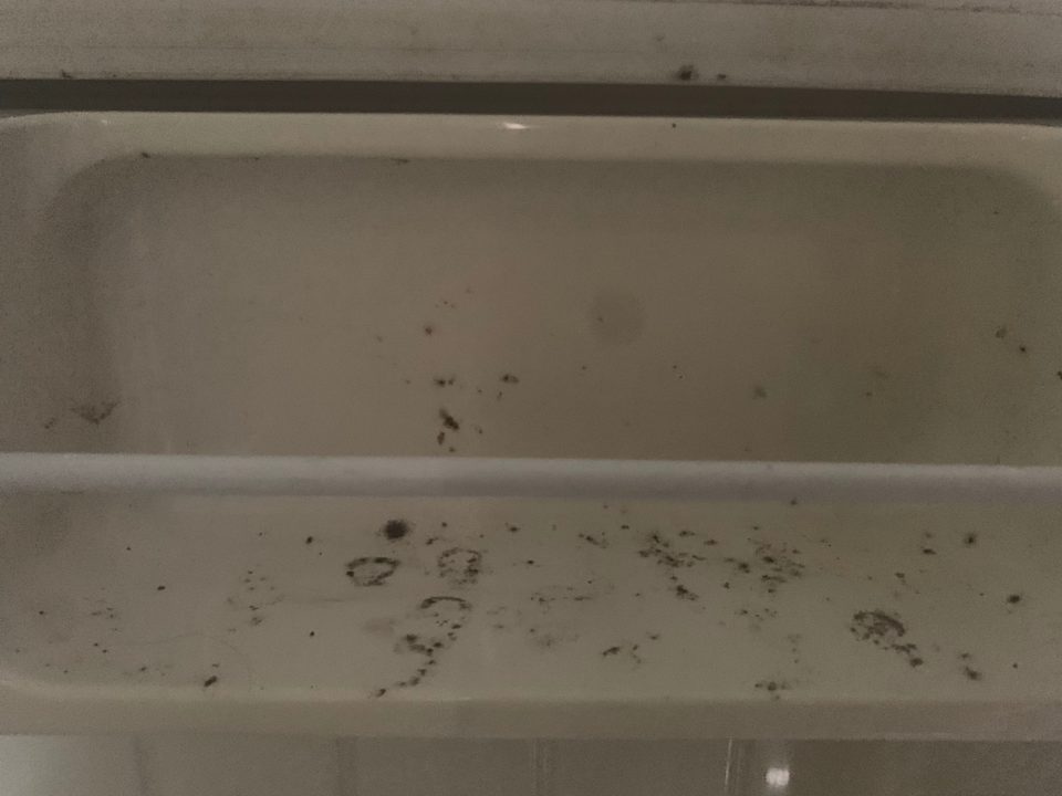 Zimmer Houda Golf & Beach Club