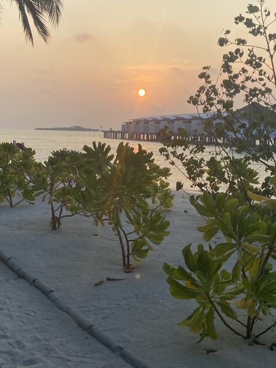 Ausblick Cinnamon Hakuraa Huraa Maldives