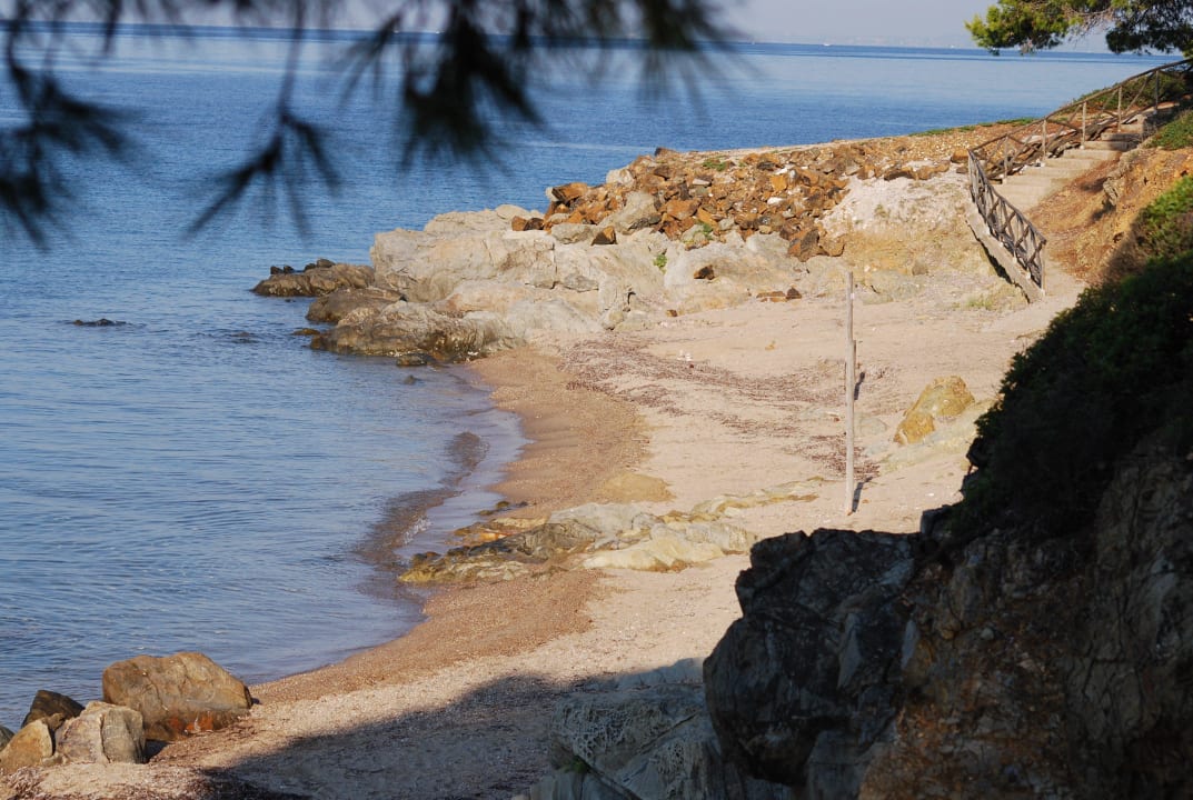 Strand beim Hotel Blue Dolphin Resort Hotel