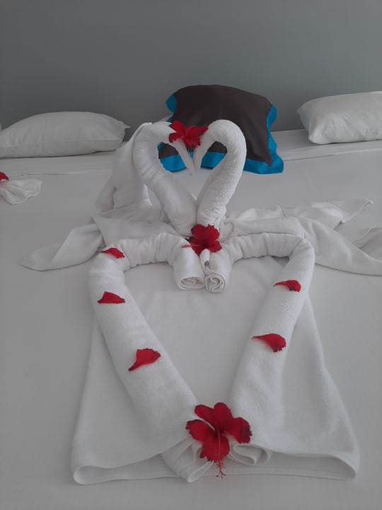 Zimmer Hotel Riu Republica - Adults only