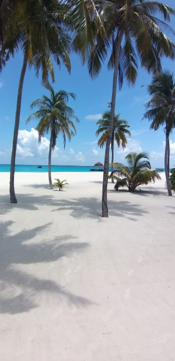 Strand Hondaafushi Island Resort