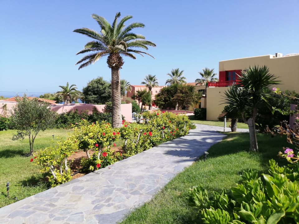 Gartenanlage allsun Hotel Zorbas Village