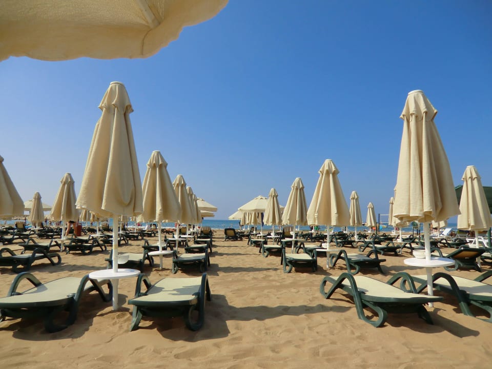 Keine Plastikliegen Commodore Elite Suites & Spa - Adults only