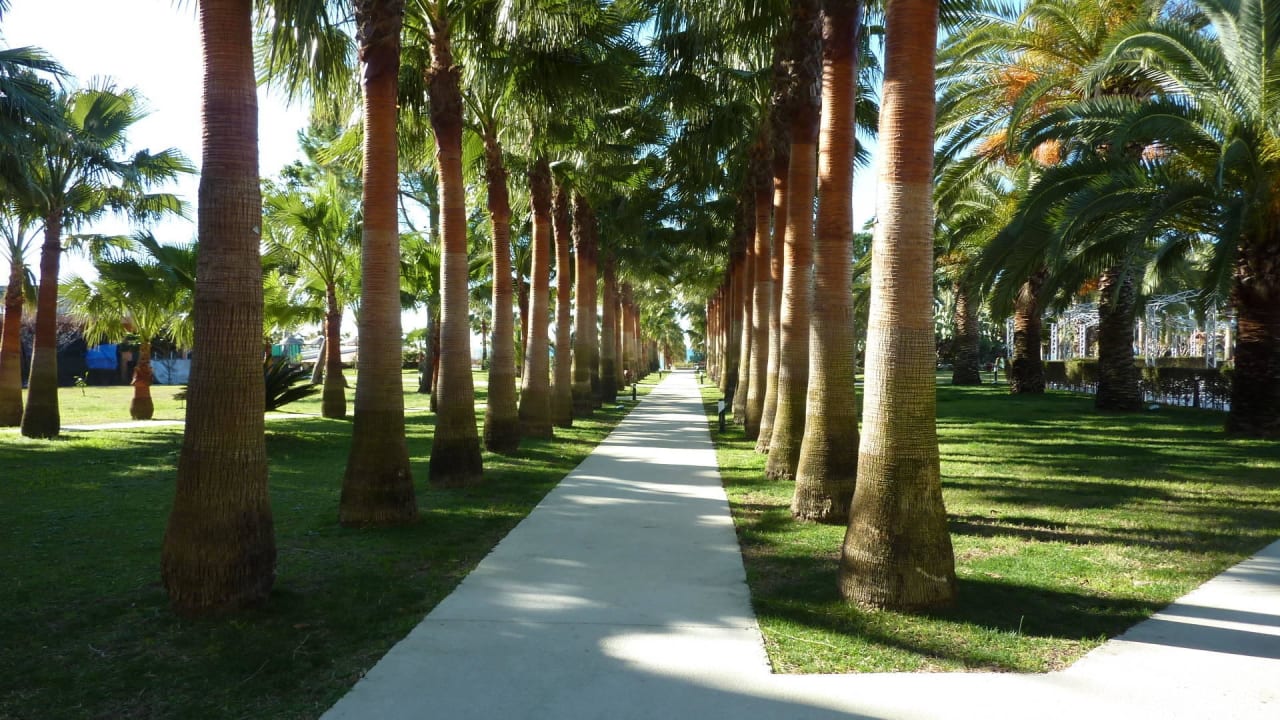 Weg zum Strand Hotel Miramare Beach