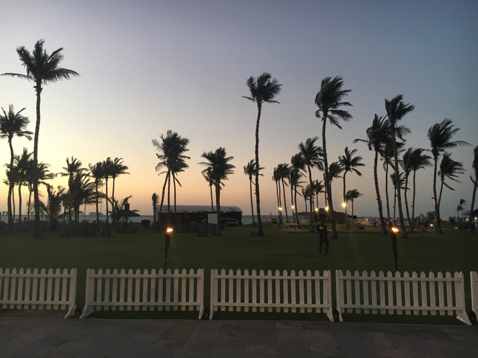 Gartenanlage JA Beach Hotel