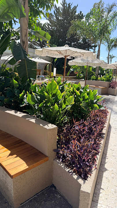 Gartenanlage TUI BLUE Xanthe