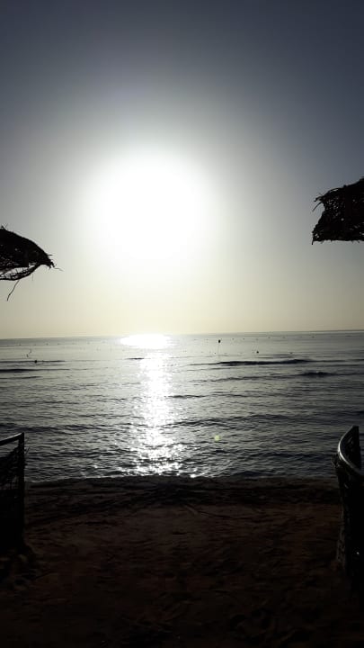 Morgens am Strand  Makadi Palace