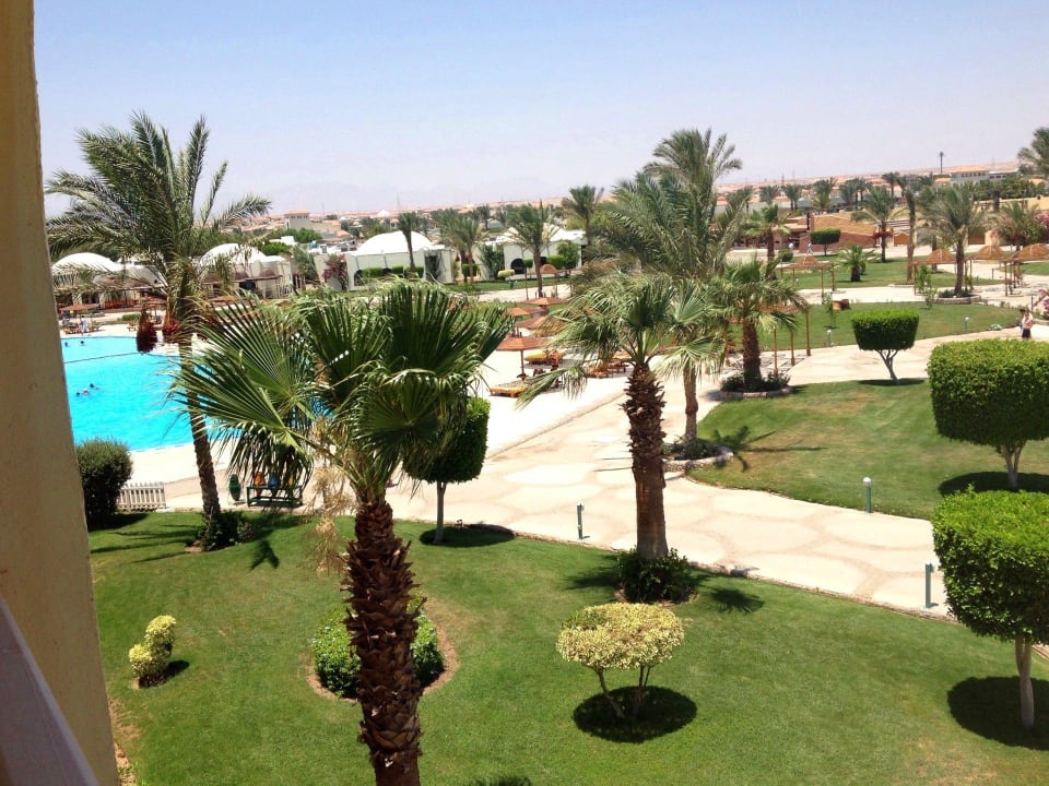 Вид из номера на бассейн Desert Rose