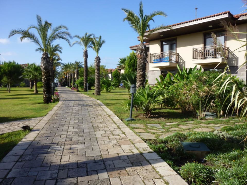 Hauptweg zwischen Rezeption und Pool / Strand TUI BLUE Palm Garden