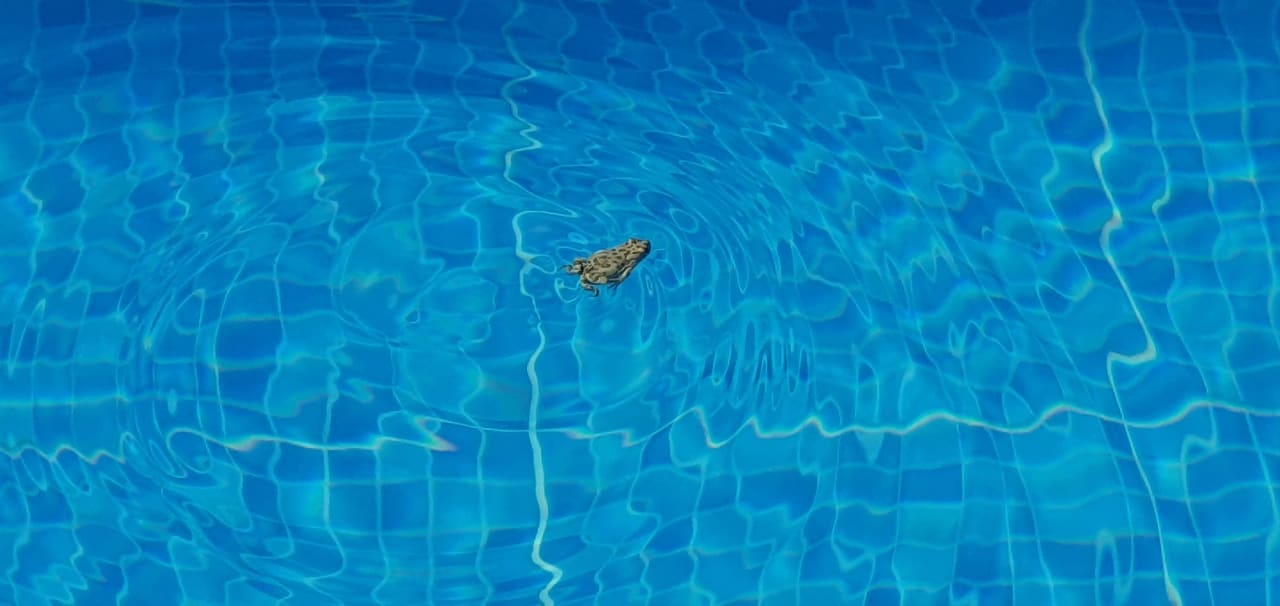 Pool Sentido More Meni Residence & Suites