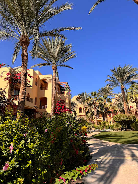 Gartenanlage Steigenberger Coraya Beach - Adults only