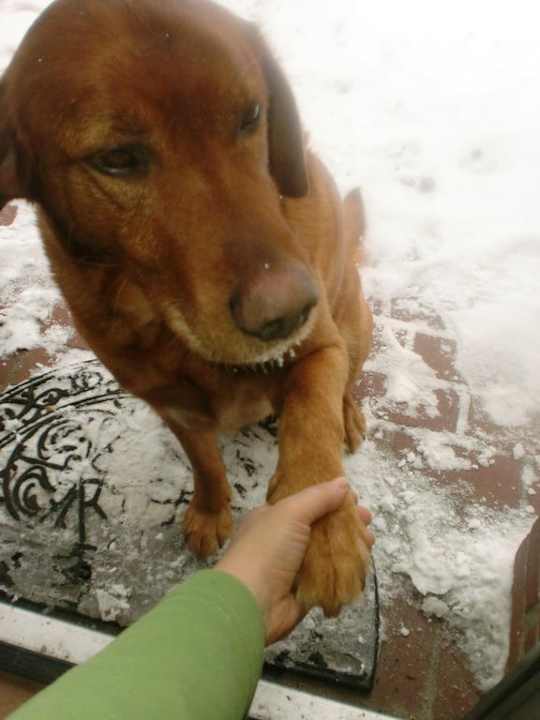 Begrüßung Bauernhof Struve