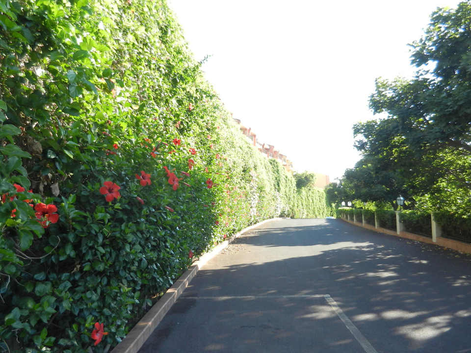 Straße in der Hotelanlage Capo dei Greci Taormina Coast Resort Hotel & Spa