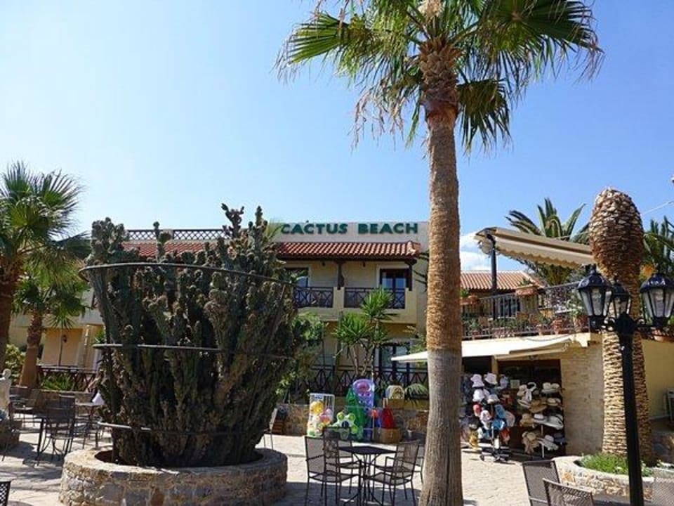 Unser Hotel   Cactus Beach