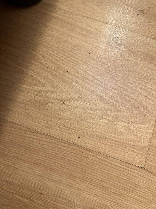 Zimmer Limak Limra Hotel & Resort