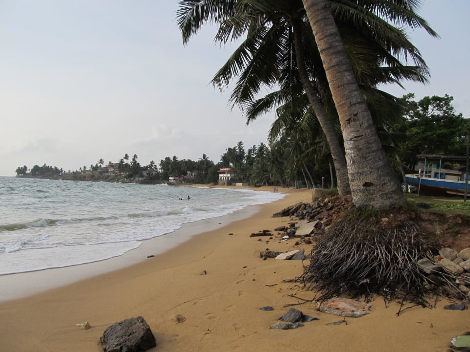 ...und hier baden und schwimmen. Earl’s Reef Beruwala