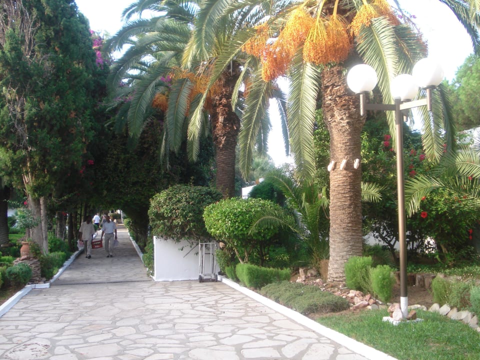 Weg vom Strand zum Zimmer The Orangers Beach Resort and Bungalows
