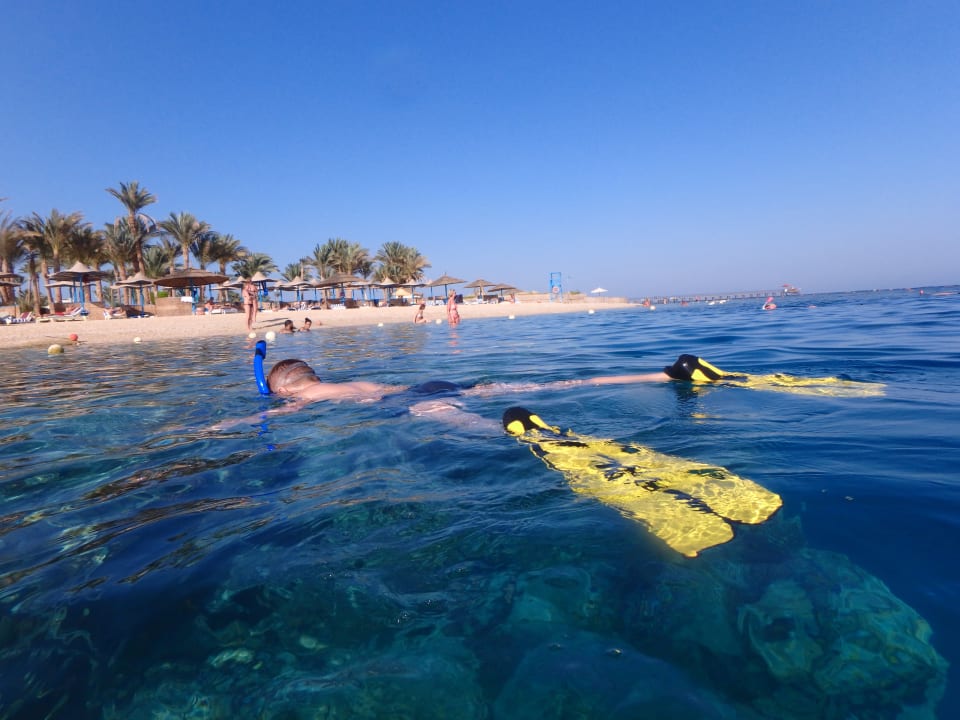 Strand Marina Resort Port Ghalib, a member of Radisson Individuals