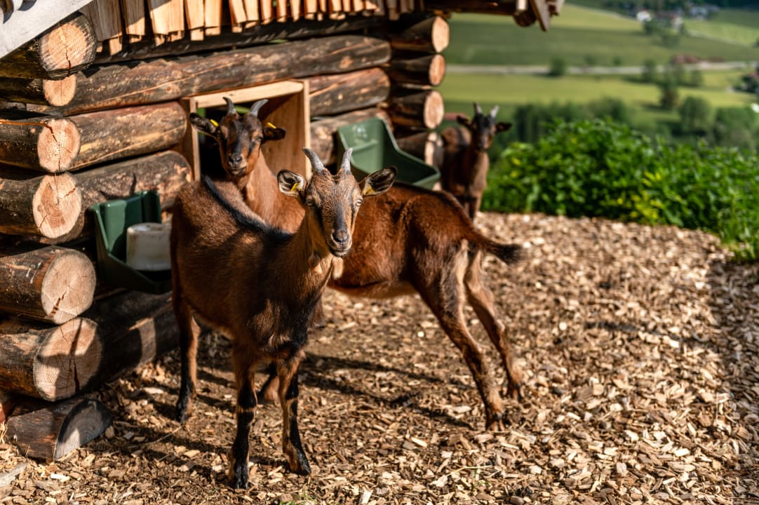 Sport & Freizeit Panoramahotel Stocker