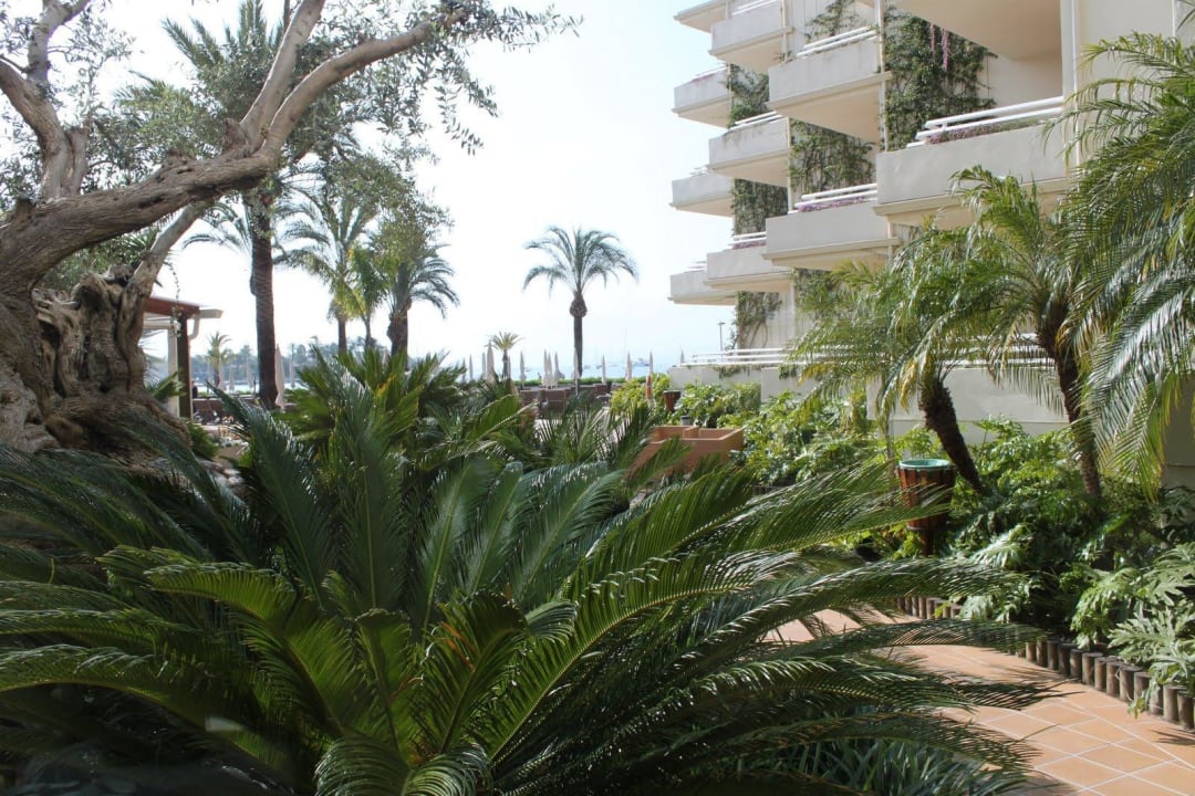 Vom Hotel Richtung Strand VIVA Golf - Adults only 18+