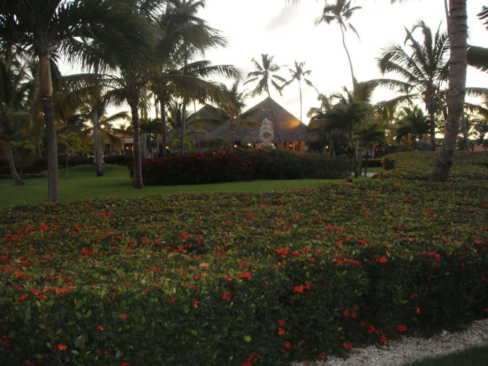 Blick in die Anlage Punta Cana Princess All Suites Resort & Spa