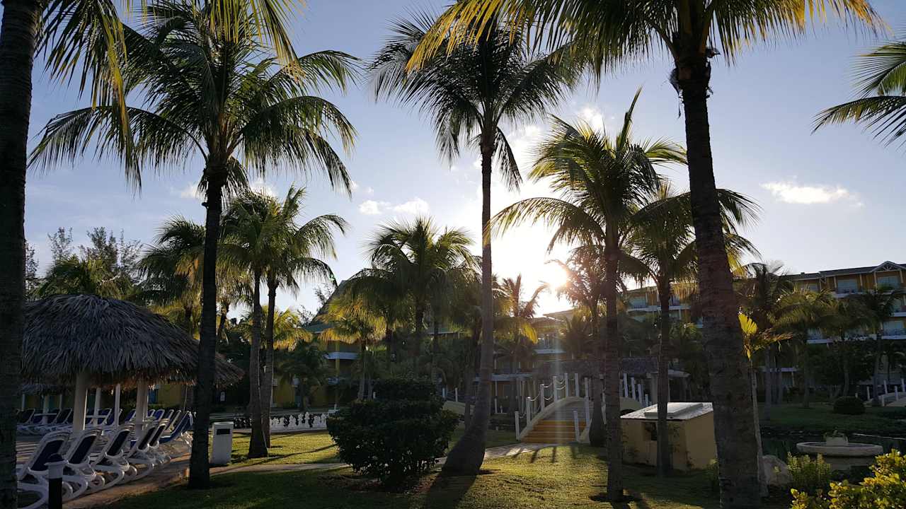 Ansichten und Details der Gartenanlage Melia Las Antillas - Adults only