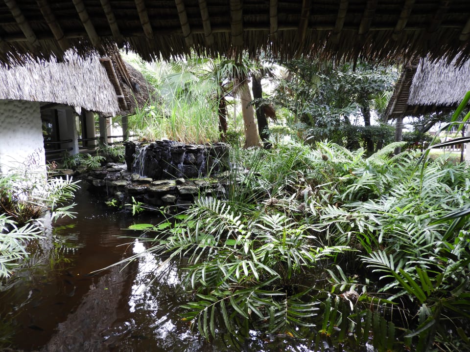 Garten Hotel Southern Palms Beach Resort