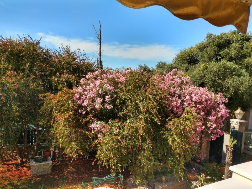 Ausblick Hotel San Marco Villas