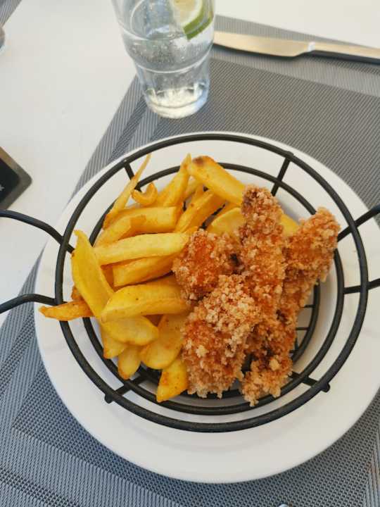 Gastro Seashell Vega